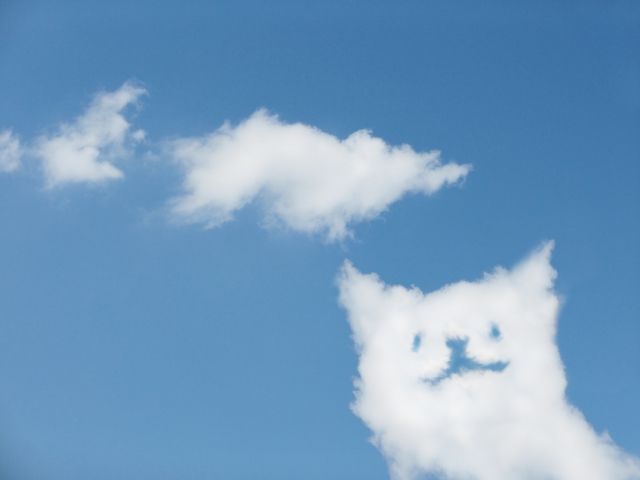 雲に犬の顔